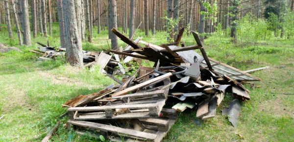 Debris Removal Service in Schaumburg